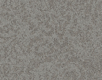 [300111150_16] Open Air 405 - 106761 Stone